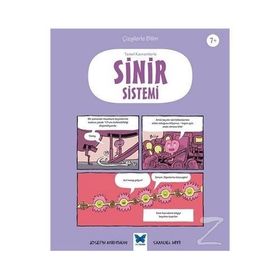 Temel Kavramlarla Sinir Sistemi Joseph Midthun Mavi Kelebek Yayınları