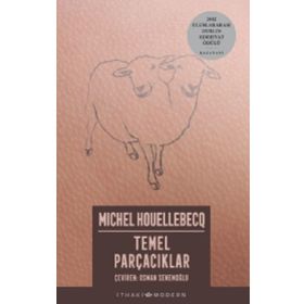 TEMEL PARÇACIKLAR - MICHEL HOUELLEBECQ