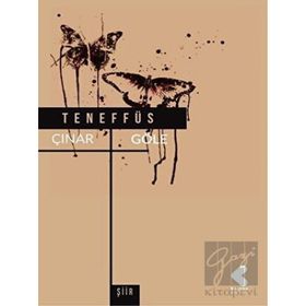 Teneffüs - Çınar Göle