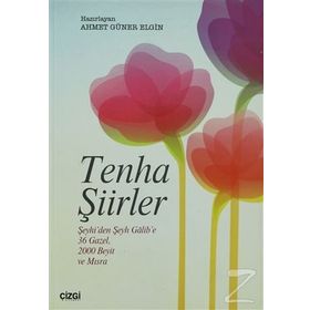 TENHA ŞİİRLER - ŞABAN KURT