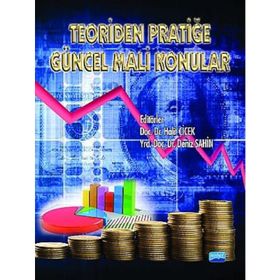 TEORIDEN PRATIĞE GÜNCEL MALI KONULAR - HALIT ÇIÇEK;DENIZ ŞAHIN
