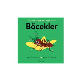 Tepeden Kuyruğa-Böcekler - Stacey Roderick