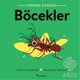 Tepeden Kuyruğa-Böcekler - Stacey Roderick