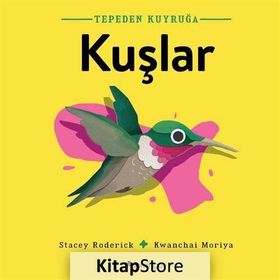 Tepeden Kuyruğa Kuşlar - Stacey Roderick