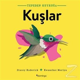 Tepeden Kuyruğa Kuşlar - Stacey Roderick