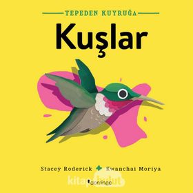 Tepeden Kuyruğa Kuşlar - Stacey Roderick