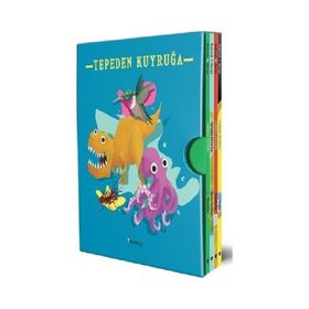 Tepeden Kuyruğa Kutulu Set 4 Kitap - Stacey Roderick