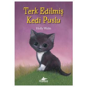 Terk Edilmiş Kedi Puslu - Holly Webb
