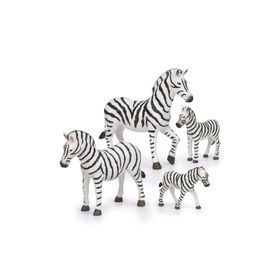 Terra Zebra Ailesi