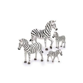 Terra Zebra Ailesi