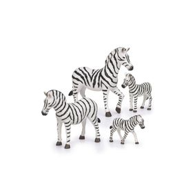 Terra Zebra Ailesi