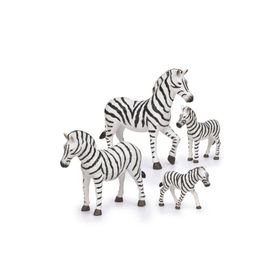 Terra Zebra Ailesi