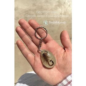 Tesbihkenti Yeşil Renk Akrep Fosilli Anahtarlık Model 4