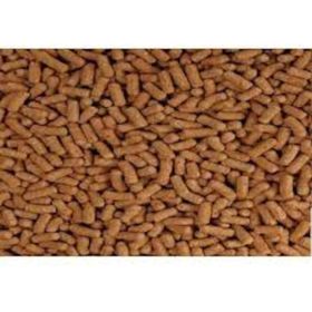 Tetra 10 lt Pond Sticks Havuz Balığı Yemi
