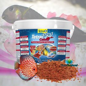 Tetra 10 lt Pro Colour Kova Balık Yemi