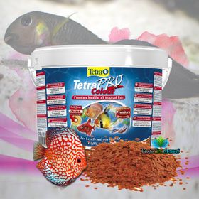 Tetra 10 lt Pro Colour Kova Balık Yemi