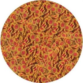 Tetra 100 gr Pro Colour Cips Balık Yemi
