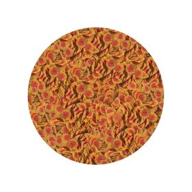 Tetra 100 gr Pro Colour Cips Balık Yemi