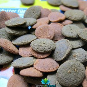 Tetra 15 gr Wafermix Dip Vatoz Zarf Balık Yemi