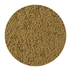 Tetra 250 gr Pleco Veggie Wafers Çöpçü Vatoz Yemi