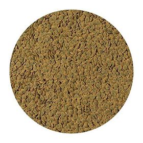 Tetra 250 gr Pleco Veggie Wafers Çöpçü Vatoz Yemi