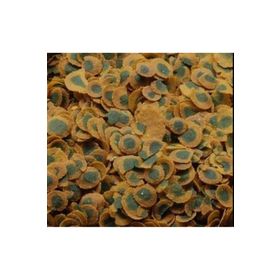 Tetra 50 gr Pro Vegetable Algae Balık Yemi