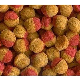 Tetra Cichlid Colour Mini Granules 100 gr Balık Yemi