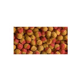 Tetra Cichlid Colour Mini Granules 100 gr Balık Yemi