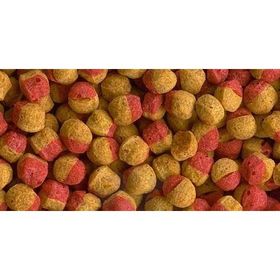 Tetra Cichlid Colour Mini Granules 500 gr Balık Yemi