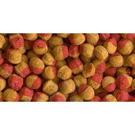 Tetra Cichlid Colour Mini Granules 500 gr Balık Yemi