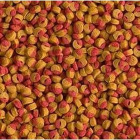 Tetra Cichlid Colour Mini Granules 500 gr Balık Yemi