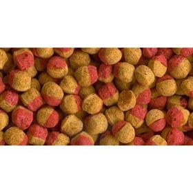 Tetra Cichlid Colour Mini Granules 500 gr Balık Yemi