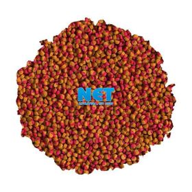 Tetra Cichlid Colour Mini Granules 500 gr Balık Yemi