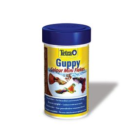 Tetra Guppy Colour Mini Flakes Lepistes Pul 100 ml Balık Yemi