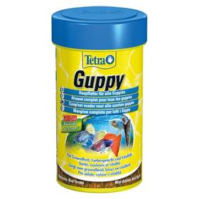 Tetra Guppy Mini Akvaryum Lepistes Balığı 30 gr Pul Yemi