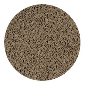 Tetra Reptomin Sticks 500 gr Kovadan Bölme Balık Yemi