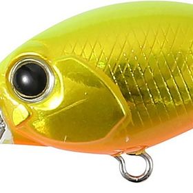 Tetra Works Kurakura ADA0063 Hirame Gold Suni Yem