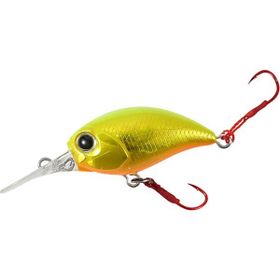 Tetra Works Kurakura ADA0063 Hirame Gold Suni Yem
