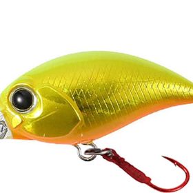 Tetra Works Kurakura ADA0063 Hirame Gold Suni Yem
