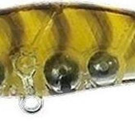 Tetra Works Toto 48HS CCC0312 Gold Shrimp Suni Yem