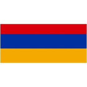 Tezzgelsin 70x105 cm Ermenistan Bayrağı