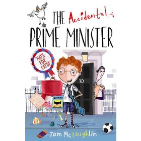 The Accidental Prime Minister - Tom McLaughlin