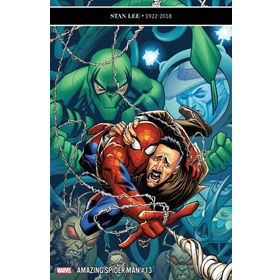 The Amazing Spider Man 13 Black Cat’in Dönüşü - Mark Guggenheim