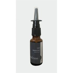 The Base Less İs More 20 ml Nano Çinko ve Gümüş Burun Spreyi