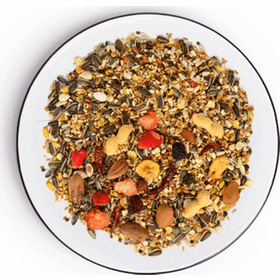 The Best Meyve Nutslı 1.25 kg Papağan Yemi