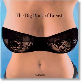 THE BIG BOOK OF BREASTS - DIAN HANSON