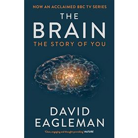 The Brain The Story Of You - David Eagleman