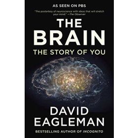 The Brain The Story Of You - David Eagleman