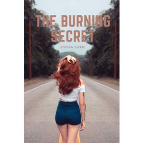 The Burning Secret - stephan zweig