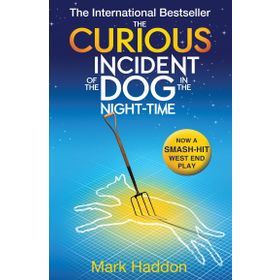 The Curious Incident of the Dog in the Night Time - Mark Haddon